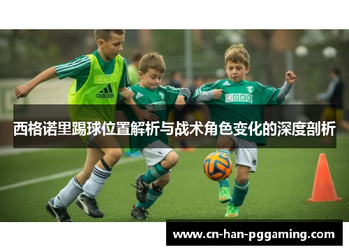 西格诺里踢球位置解析与战术角色变化的深度剖析