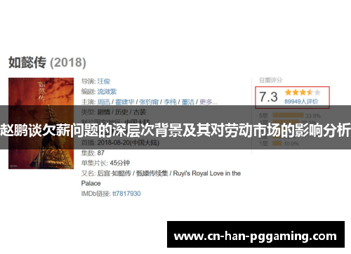 赵鹏谈欠薪问题的深层次背景及其对劳动市场的影响分析