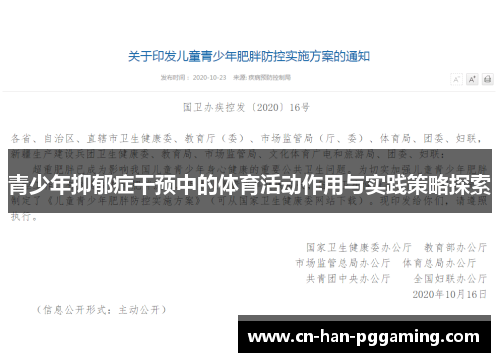 青少年抑郁症干预中的体育活动作用与实践策略探索