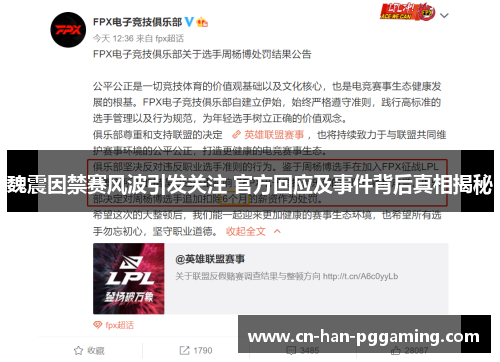 魏震因禁赛风波引发关注 官方回应及事件背后真相揭秘