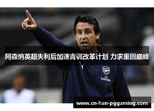 阿森纳英超失利后加速青训改革计划 力求重回巅峰