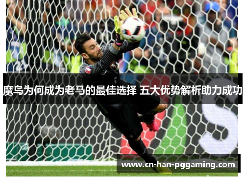 魔鸟为何成为老马的最佳选择 五大优势解析助力成功